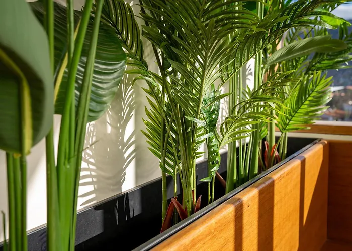Cavana Boutique Hotel